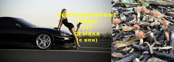 шишки Абдулино