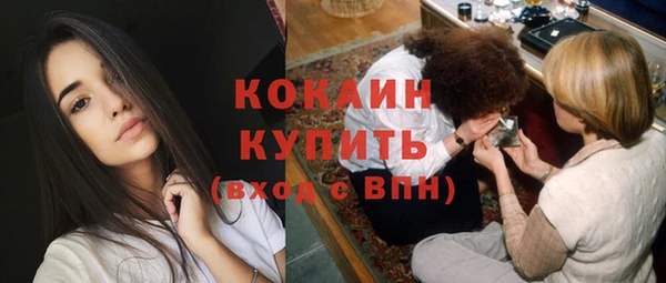 шишки Абдулино