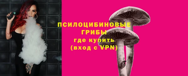 шишки Абдулино