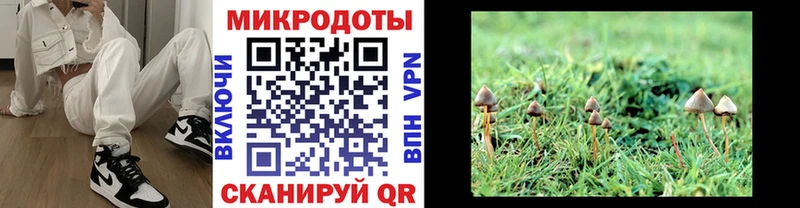 Псилоцибиновые грибы Magic Shrooms  Усолье 